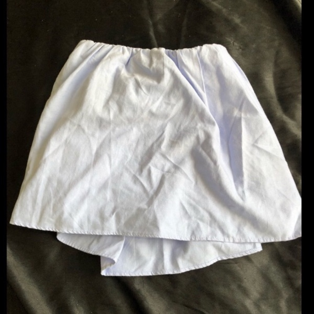 Zara Amy Blue Skirt